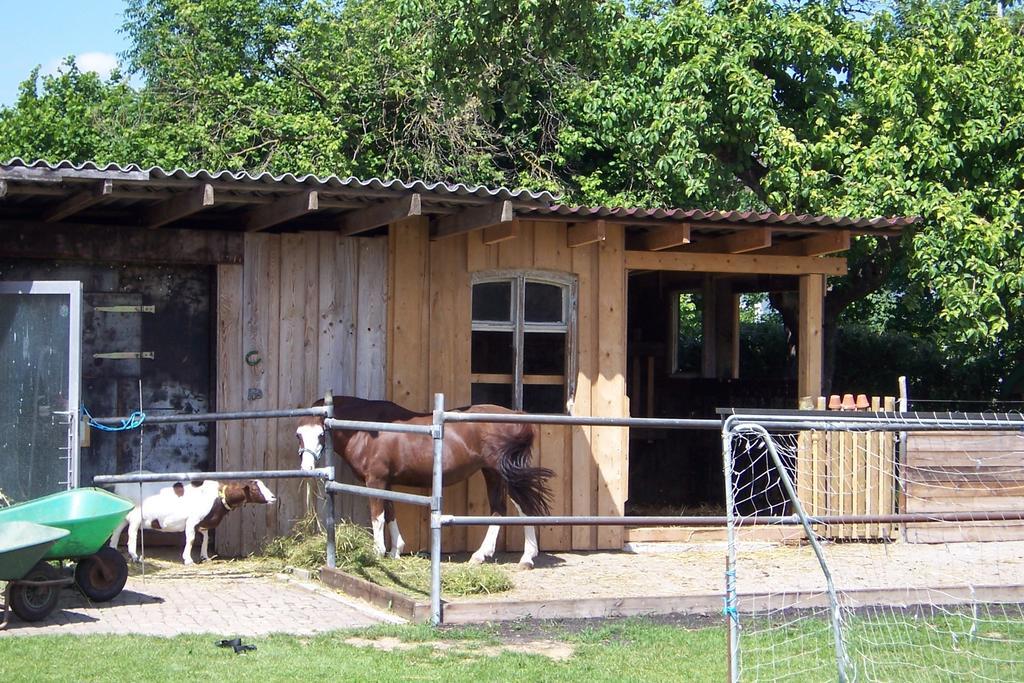 Landhotel Zum Adler Oberbechingen Exterior photo